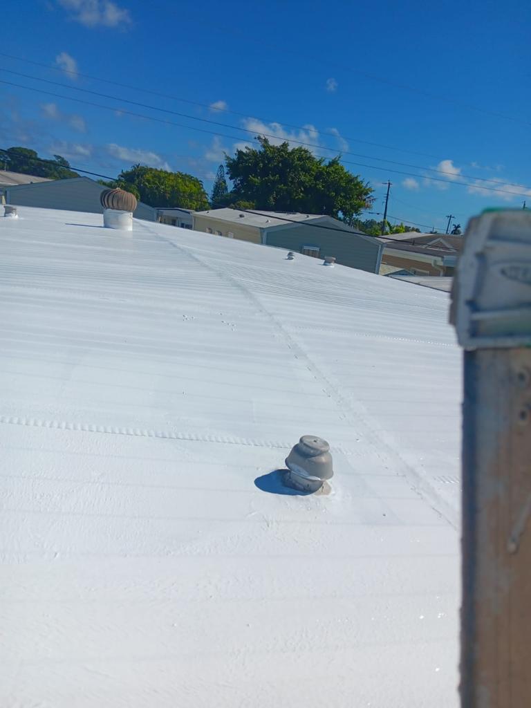 Elastomeric Roof Coating Close-Up - Handyman Group SFL