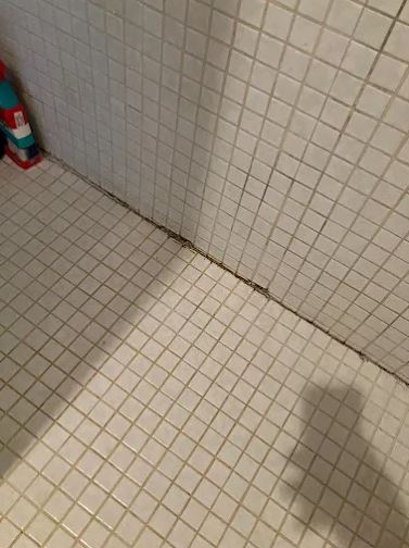 Bathroom Tile and Grout Repair - Handyman Group SFL